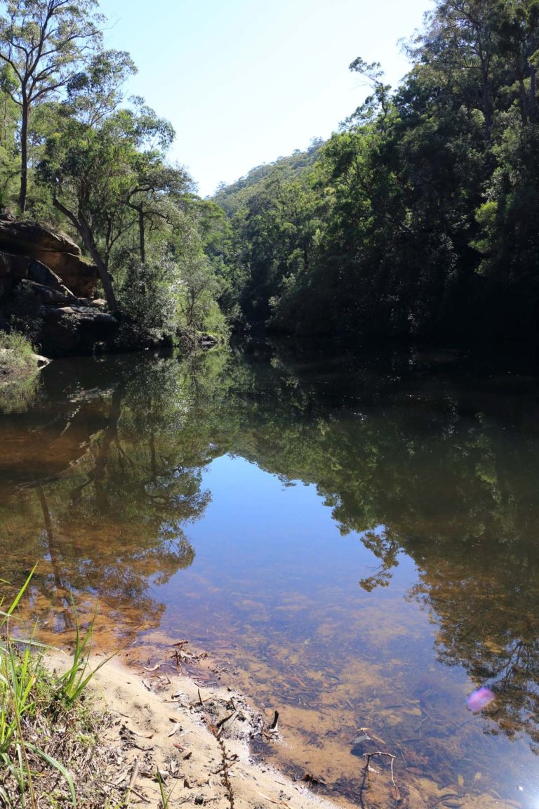 Glenbrook Creek and Gorge Walk | Sydney University Bushwalkers