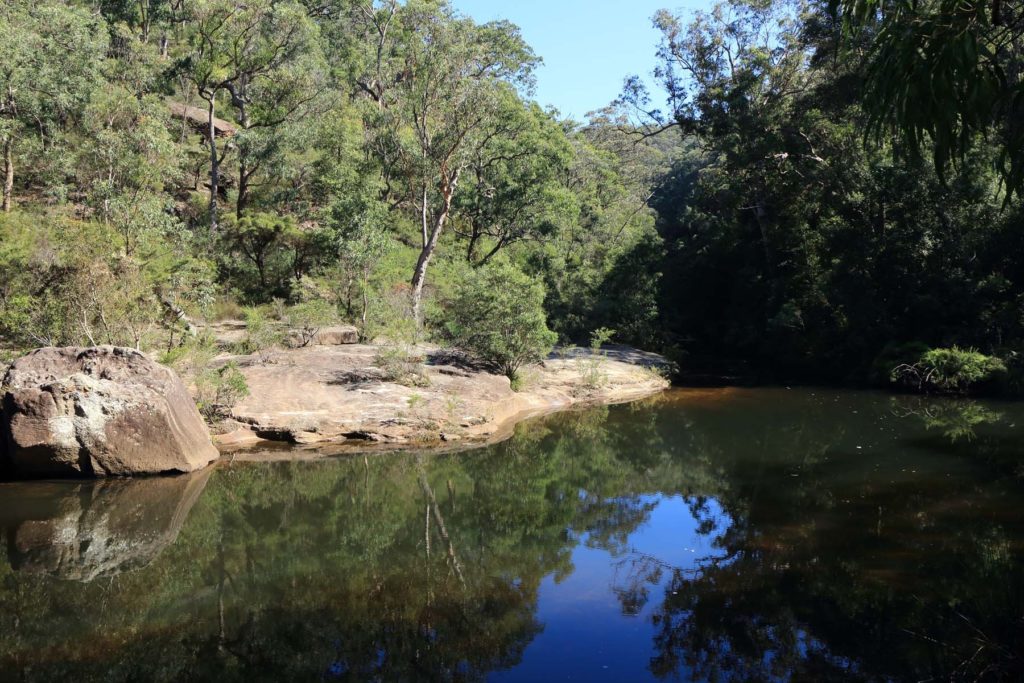 Glenbrook Creek and Gorge Walk | Sydney University Bushwalkers