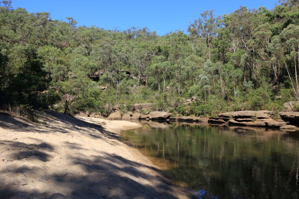 Glenbrook Creek and Gorge Walk | Sydney University Bushwalkers