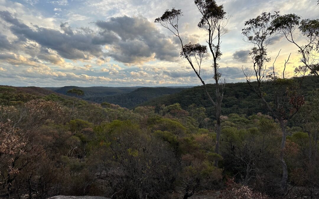 Blue Mountains Traversal (Mt Victoria -> Glenbrook)