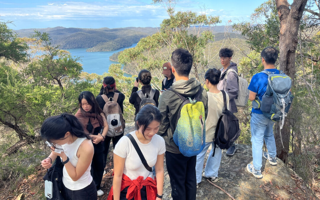 Taffy’s Rock beginner walk