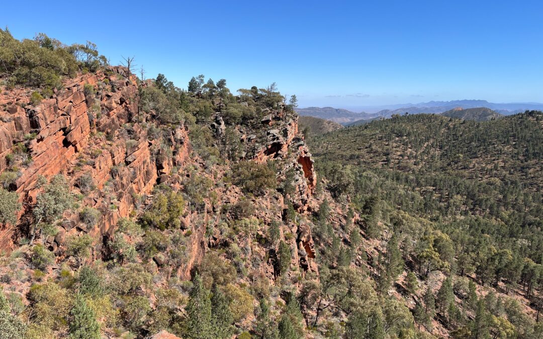 Flinders ranges trip