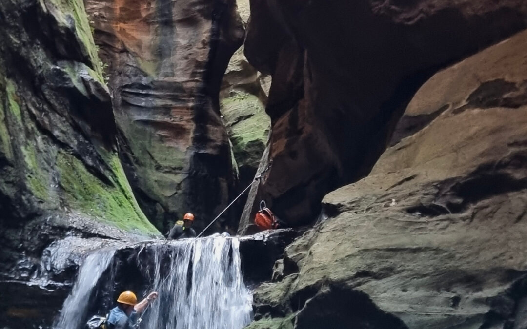 Pre xmas Blue Mountains Canyoning – Galah Canyon